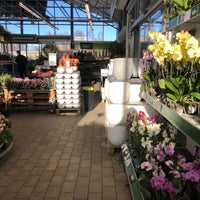 blomsterlandet port 73 blomsterlandet port 73