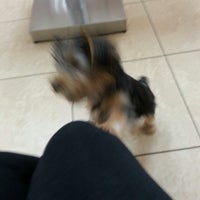 Photo taken at Dr. Domotor&amp;#39;s Animal House Veterinary Hospital by A M. on 5/19/2014
