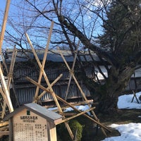 日本最古のソメイヨシノ 弘前市 96 Visitors