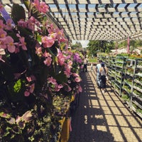 Photo taken at Oakland Nursery by Horacio N. on 5/22/2016