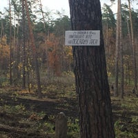 Photo taken at Тольяттинский лес by Екатерина Б. on 10/21/2017