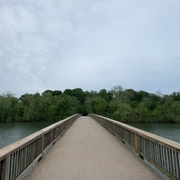 Photo taken at Theodore Roosevelt Island by FS on 4/30/2024