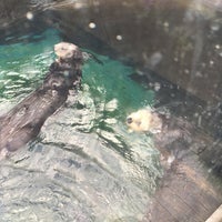 Photo taken at Pittsburgh Zoo &amp;amp; Aquarium by Ian E. on 12/30/2022