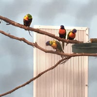Photo taken at National Aviary by Ian E. on 2/24/2024
