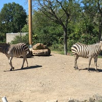 Photo taken at Pittsburgh Zoo &amp;amp; Aquarium by Ian E. on 9/16/2023