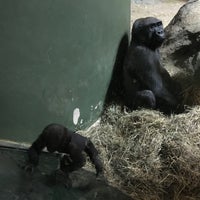 Photo taken at Pittsburgh Zoo &amp;amp; Aquarium by Ian E. on 12/2/2023