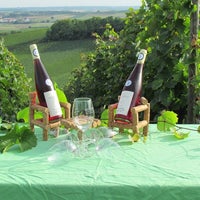 Foto tirada no(a) Becker - Das Weingut - Weinversand por becker das weingut weinversand em 1/5/2016