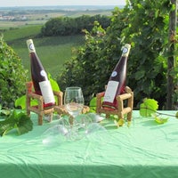 รูปภาพถ่ายที่ Becker - Das Weingut - Weinversand โดย becker das weingut weinversand เมื่อ 8/13/2016