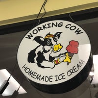 รูปภาพถ่ายที่ The Yogurt Place Working Cow โดย Marc C. เมื่อ 1/26/2018
