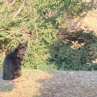 大野潮騒はまなす公園 Park
