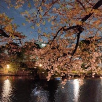 Photo taken at Mitsugi Park by akemi.t on 4/1/2023