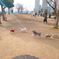 Photo taken at Dog run by akemi.t on 1/26/2021