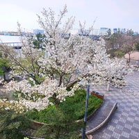 Photo taken at 有明西ふ頭公園 by akemi.t on 4/6/2020