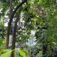 Foto diambil di Franklin Park Conservatory and Botanical Gardens oleh Dom K. pada 7/3/2023