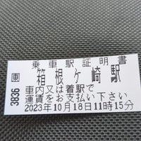Photo taken at Hakonegasaki Station by Nori on 10/18/2023