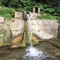 垣花樋川 Garden