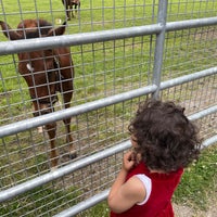 Снимок сделан в Irish National Stud &amp;amp; Gardens пользователем enn 6/21/2022