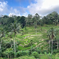 Photo taken at Tegallalang Rice Terraces by Mohammed N. on 4/18/2024