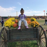 Photo taken at Summers Farm by Nae S. on 10/16/2016