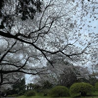 Photo taken at Koishikawa Botanical Gardens by Keiko H. on 4/5/2024