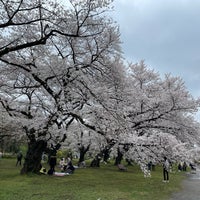 Photo taken at Koishikawa Botanical Gardens by Keiko H. on 4/5/2024