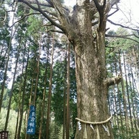 国吉神社 いすみ市 1 Tip From 61 Visitors