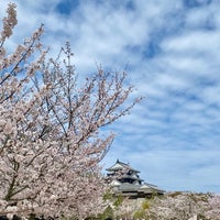 Photo taken at Matsuyama Castle by パーヤン レ. on 4/7/2024