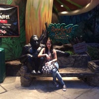 Photo taken at Rainforest Cafe by Duygu Y. on 9/1/2018