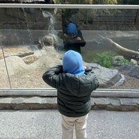 Photo taken at Bakı Zooparkı / Baku Zoo by Salatik💂🏿‍♀️ on 4/3/2024