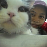 Photo taken at Jakarta Pet Care Center by Romie S. on 1/17/2016