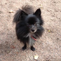 Photo taken at Lapinlahden puistikon koira-aitaus by Ella💋 on 10/2/2012