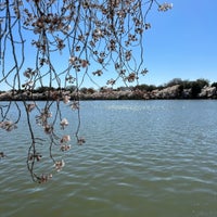 Photo taken at Tidal Basin by fatemeh b. on 3/25/2024