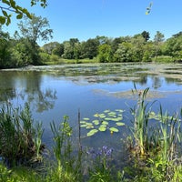 รูปภาพถ่ายที่ Fresh Pond Reservation โดย Chrissy T. เมื่อ 5/28/2023