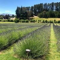 Снимок сделан в New Zealand Alpine Lavender Farm and Shop пользователем Louisa L. 12/28/2019