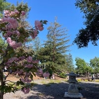 Photo taken at Cupertino Memorial Park by Louisa L. on 4/28/2024