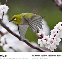 Photo taken at Hamarikyu Gardens by mej w. on 3/2/2024