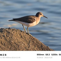 Photo taken at Tokyo Port Wild Bird Park by mej w. on 11/24/2023