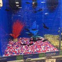 Photo taken at PetSmart by Stephanie H. on 5/21/2019