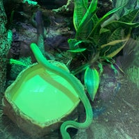 Photo taken at Reptiles &amp;amp; Birds by Stephanie H. on 12/22/2019