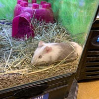 Photo taken at PetSmart by Stephanie H. on 3/15/2020
