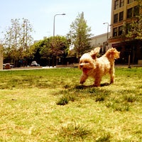 Photo taken at LAPD Lawn Dog Park by Emerson Q. on 4/2/2013
