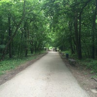 Photo taken at Petržalský lesík by Ivanka F. on 6/14/2016