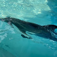 Foto tomada en Aquarium Cancun  por Elvyra M. el 12/24/2020