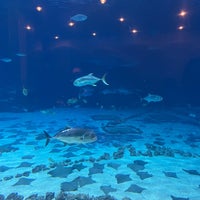 Photo taken at Georgia  Aquarium ballroom by Elvyra M. on 9/28/2022