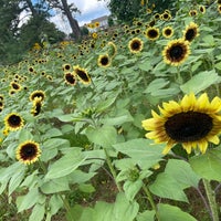 Photo taken at Hunters Christmas Tree Farm by Elvyra M. on 6/30/2021