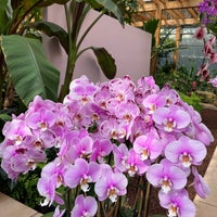 Photo taken at Fuqua Orchid Center by Elvyra M. on 10/14/2021