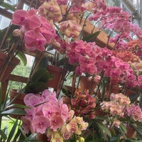 Photo taken at Fuqua Orchid Center by Elvyra M. on 6/1/2021