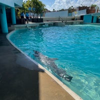 Foto tirada no(a) Aquarium Cancun por Elvyra M. em 12/24/2020