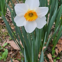 Photo taken at Memphis Botanic Garden by Alyssa W. on 3/3/2024