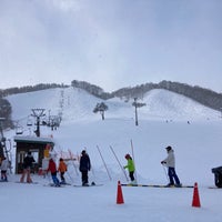 七戸町営スキー場 左組142 1 七戸町営スキー場 左組142 1